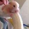 The stomach also remains safe by eating the raw carrots. 1