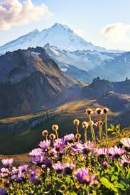 Mt Baker From Table Mountain Trail Wa Oc 4000x6000 Nature Photography Landscape Pictures Nature P In 2020 Table Mountain Mountain Trails Beautiful Landscapes