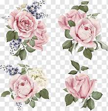 Rose Illustration Flower Illustration Hand Painted Roses Four Pink Rose Clusters Free Png Flower Illustration Pink Flowers Background Pink Flower Painting