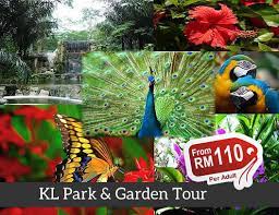 Последние твиты от kl bird park (@kl_birdpark). Kl Bird Park Entrance Fee Butterfly Park Ticket Online Booking