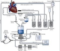 Cpb machine stock photos and images. Cardiopulmonary Bypass In The Pediatric Patient Abdominal Key