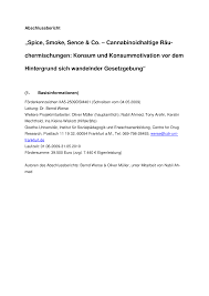Https Www Uni Frankfurt De 51782916 Abschlussbericht Spice Smoke Sence Pdf