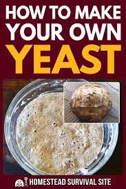 How To Grow Your Own Yeast Fermentation Recipes Yeast Homemade Chipotle