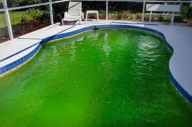 Will the residual scale that is on the sides just keep it cloudy? How To Clear Up A Green Swimming Pool
