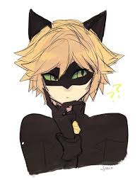 Anime Cat Noir Miraculous Odd x leo x chat noit 2/2 (commission). contoh soal 2