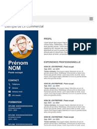 Cv gratuit => vous cherchez un emploi et vous avez besoin d'un modèle de cv pour répondre à l'offre que vous avez sélectionnée ? Exemple De Cv Commercial Gratuit A Telecharger Modele Cv Word Pdf Microsoft Word Informatique