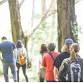 Healing Heart Walks - Where hearts heal in community