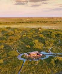 Image result for Thesium bangweolense