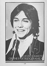 David Cassidy In Print