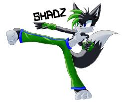 He's great at fighting games but if he. Sonic Fox Oc
