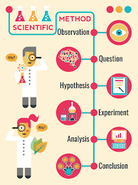 Maybe you would like to learn more about one of these? What Is The Scientific Method And How Does It Relate To Insights And Market Research Newmr