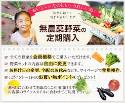 定期購入サービス ウェブデザイン ナチュラル系 有機