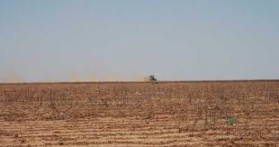 Experienced farmers remember droughts worse than 2011: Part 1