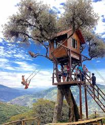 Nota c�mo la adrenalina de arriesgarte la vida corre por tus venas. Los Mejores Deportes Extremos Que Puedes Hacer En Ecuador Me Hace Feliz Me Hace Feliz