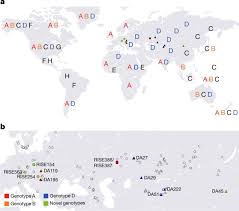 The following tables include last names starting with v in the us population during the 1990 census. Ancient Hepatitis B Viruses From The Bronze Age To The Medieval Period Nature