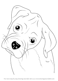 Boxer Dogs Are Medium To Large Size Animals They Have Short Hairs They Were Breaded In Germany Dog Face Drawing Dog Drawing Tutorial Dog Drawing Simple