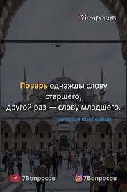 роберт кийосаки богатый папа бедный папа аудиокнига слушать онлайн Poslovicy Narodov Mira Tureckie Poslovicy In 2020 Channel