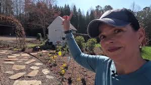 Hiding in Plain Sight