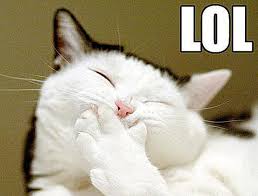 The Top 10 Most Popular Memes Of All Time Cat Memes Funny Cat Memes Funny Cat Compilation