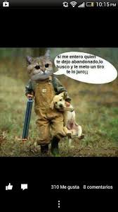 No Al Maltratro Animal Animals Baby Animals New Baby Dress