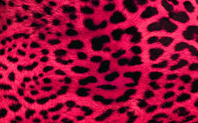 Animal print wallpapers, in pink and purple. 1920x1200 Pink Leopard Print Wallpaper 20506 Data Pink Leopard Print Hd 1920x1200 Wallpaper Teahub Io