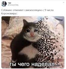Новый мем с выражением его лица.сегодня сергей соб. Moskvichi Otreagirovali Na Snyatie Karantina V Stolice Ty Chego Nadelal Podborka Memov Ura Ru
