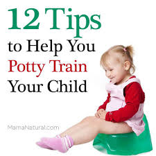Can your child walk to and sit on a toilet? Potty Training 12 Tips To Teach Your Child Mama Natural
