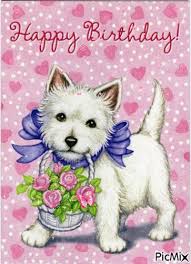 Maybe you would like to learn more about one of these? Birthday Cake Happy Birthday Gif Dog