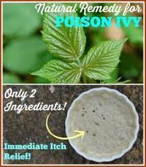 Natural Remedy For Poison Ivy Recipe Poison Ivy Remedies Poison Ivy Herbalism