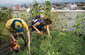 The best flower delivery company delivers to long island city in queens. This Week The New Yorker