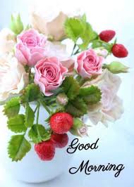 We did not find results for: Pin By Ana Maria On à°— à°¡ à°® à°° à°¨ à°— In 2020 Good Morning Flowers Good Morning Images Flowers Good Morning Flowers Pictures