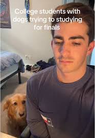 Finals Study Tips for College Students with Pets