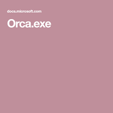 Orca Exe Window Installation App Msi