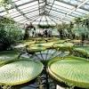 Alle öffnungszeiten für den britzer garten. 1
