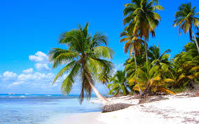 Download, share or upload your own one! 33 4k Hawaii Wallpapers For Desktop