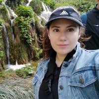 1800+ "Ardizzone" profiles