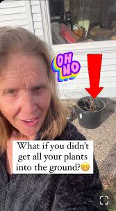 Relatable?😂 No but seriously, it’s not a big deal. Anyone else have still  a bunch of plants lying around? I know I’m not the only one. About me: I am  a garden coach and consultant and I meet with ...