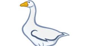 Adapun angka jitu untuk mimpi menangkap belalang untuk pakan burung adalah. Angka Mimpi Angsa Versi Erek Erek 2d 3d 4d Buku Mimpi