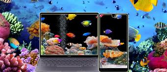 Unduh 83+ background keren minimalis paling keren. Download Keren 3d Bergerak Wallpapers And Backgrounds Teahub Io