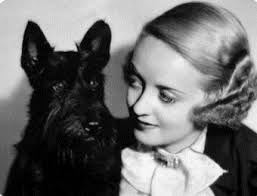 TRAVEL THROUGH TIME 1900 TO 2020 120 YEARS OF THE SCOTTISH TERRIER CLUB OF  AMERICA And The Scottish Terrier