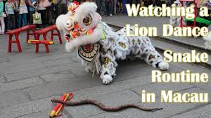 In fact, honey badgers are built for hunting snakes. A Surprise Encounter With Lions Besudesu Abroad