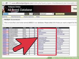 3 Ways To Research A Horses Bloodline Wikihow