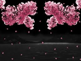 1024pixels x 768pixels size : Wallpaper Bunga Sakura Pinterest Wallpapershit