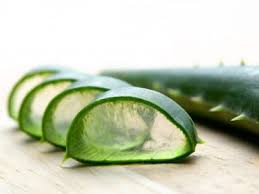 Either of these two procedures can be used once a week to get firm breasts. Home Remedies For Firming Sagging Breasts Top 10 Home Remedies