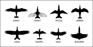 xkcd identification chart