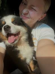 Show everyone your Berner pictures