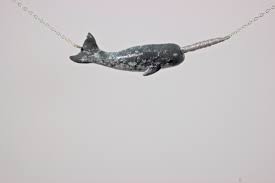 Narwhal Necklace Sterling Silver Made To Order Narwhal Necklace Necklace Narwhal