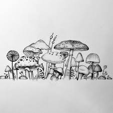 Black And White Mushroom Drawing Lee Richardson On Instagram Mushroom Collection Mushroomart Mushroomdrawing Naturejournal Mushrooms Naturejournalillustrat Mushroom Drawing Mushroom Art