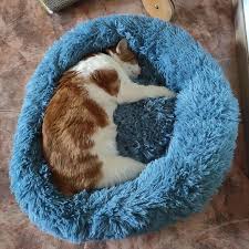 We did not find results for: Round Cat Bed Long Plush Dog Kennel Cats House Super Soft Cotton Mat Sofa For Dog Chihuahua Animals Pet Bed For Cat Dog Bed Buy From 13 On Joom E Commerce Platform