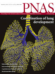 Avoiding the pitfalls of single particle cryo-electron microscopy: Einstein  from noise